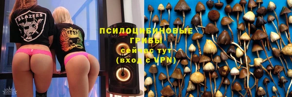 ALPHA PVP Кулебаки