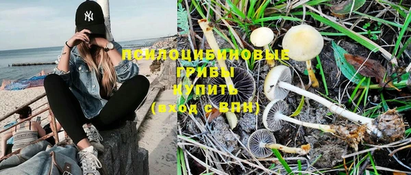 mdpv Куйбышев