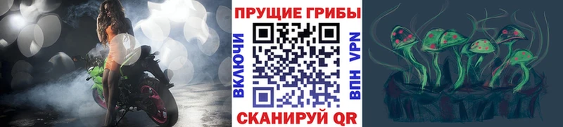 Купить где  Усинск  Псилоцибиновые грибы Psilocybine cubensis 
